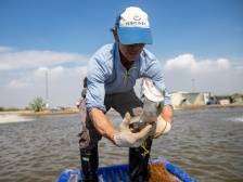 广东如何让特色农产品告别“靠天吃饭”？| 广东农险深调研②