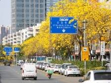 需48小时核酸阴性证明！深圳人才园行政服务大厅恢复现场业务办理