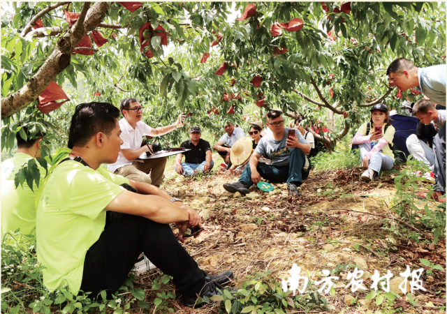 乳源瑶族自治县农民合作社服务中心组织开展现场教学 