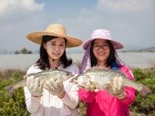 鱼鱼鱼！上班“摸鱼”的快乐是它给的｜船说广东