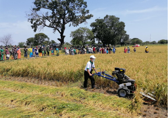 中国专家在布基纳法索指导机械化水稻收割作业