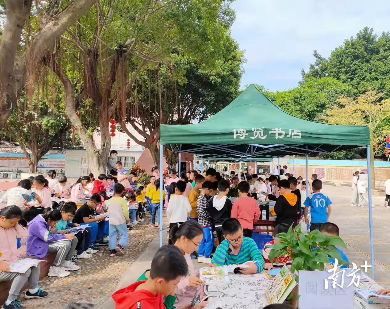 博览书店把书店“开”进校园。受访者供图 博览书店把书店“开”进校园。受访者供图