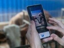 科技如何赋能广东农险高质量发展？| 广东农险深调研④