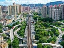 重磅！龙岗出台生态领域优化营商环境“绿色撑企”20条