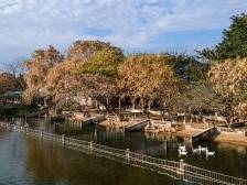 广东如何下好农业防灾减损“先手棋”？| 广东农险深调研③