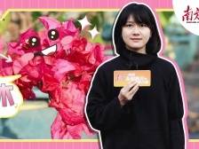 花花花！种花卖花这钱需要花 | 船说广东