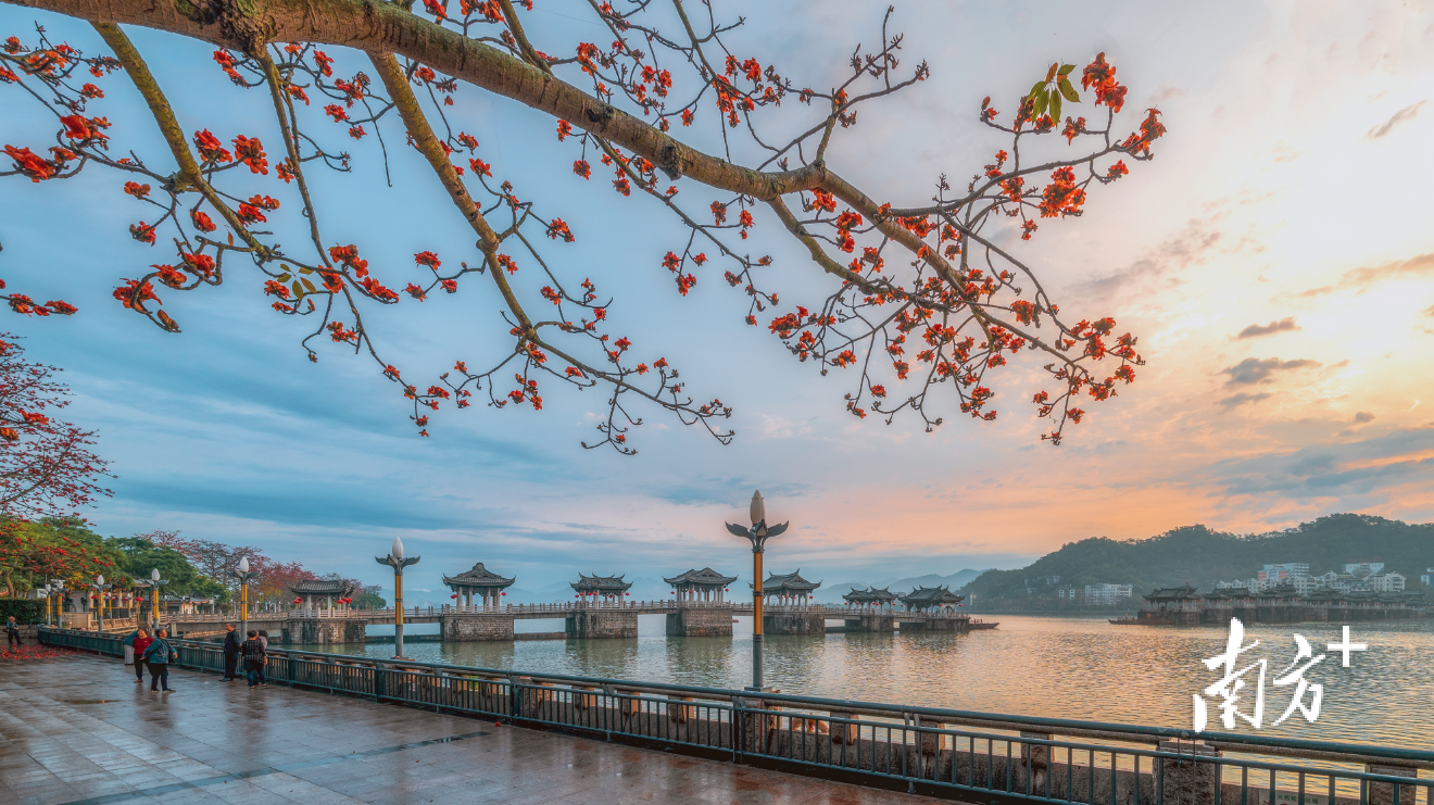 春日潮州。黄奕强 摄
