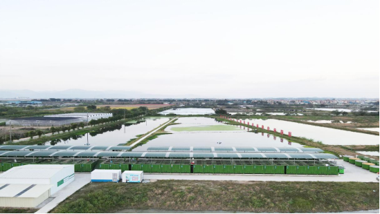 图片源于网络。