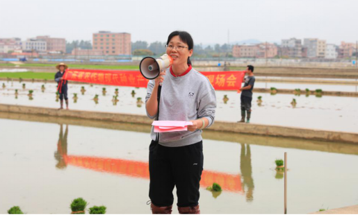 广东省农业科学院水稻研究所所长何秀英