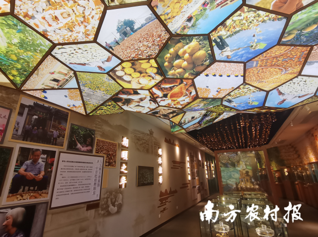 新会陈皮文化与产业博览中心。