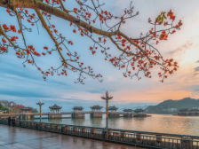 韩江观潮|潮州应着力打造“美都”城市IP