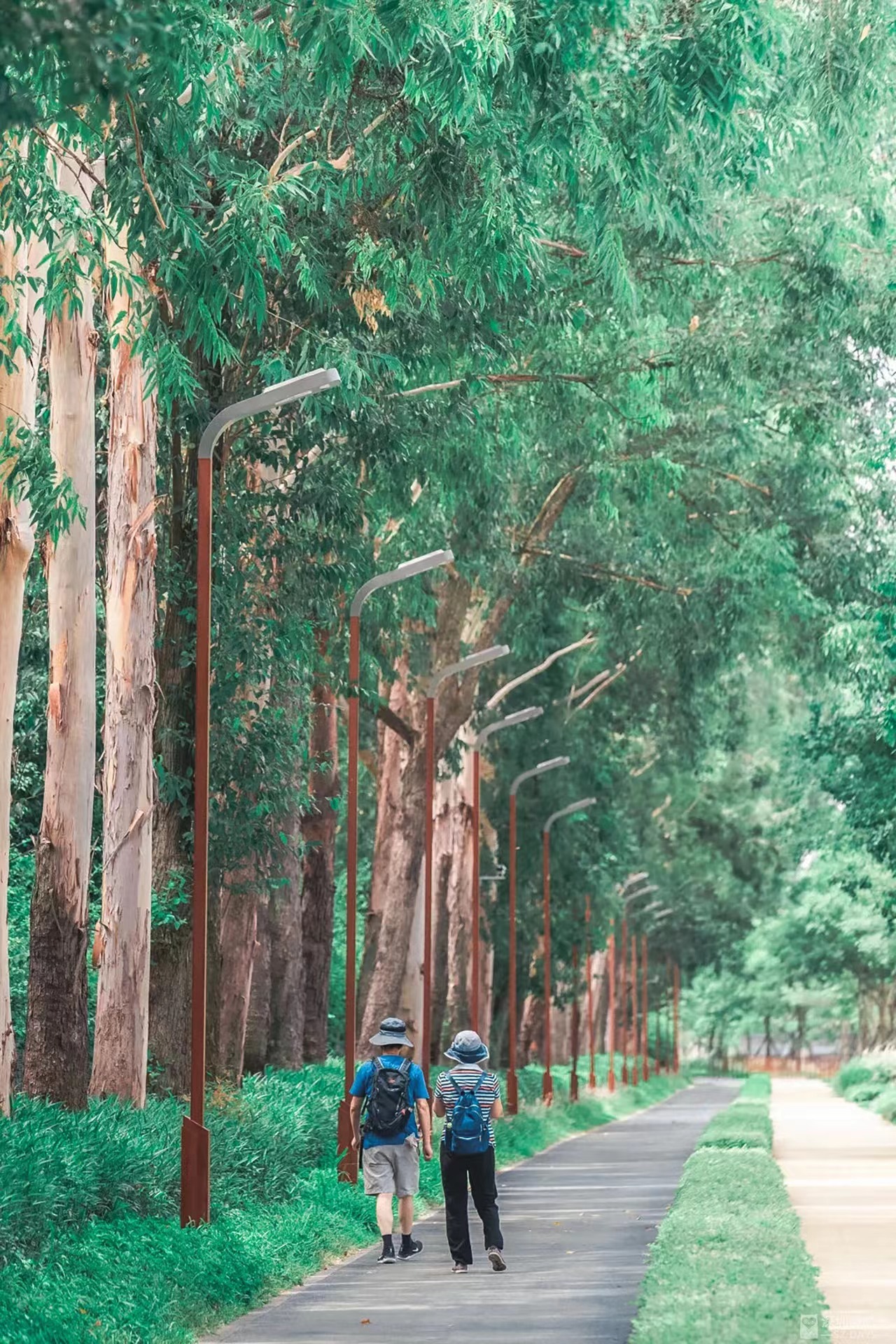 图:深圳微时光 图:深圳微时光