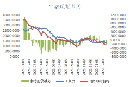 过去一年生猪期货价格基本保持了与现货价格一致的走势。（图片来源：银河期货）