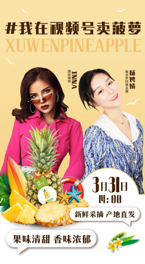 “包甜好吃！”国际模特为徐闻菠萝直播带货