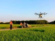 采访了276人，我们得到广东农险高质量发展的5个答案