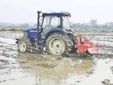“厉害了，农机上没有驾驶员！”茂名首个无人农场落户高州|速览《南方日报·高州视窗》54期
