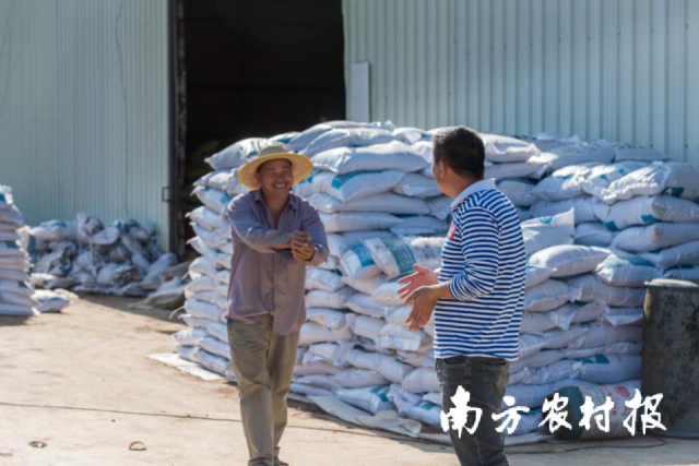 南方农村报 杨吉龙 拍摄