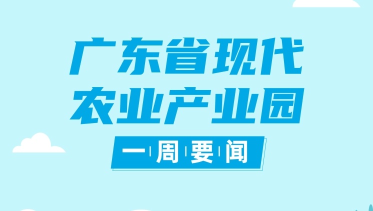 南粤农忙！产业园抢时春耕，加快项目建设|现代农业产业园一周要闻②