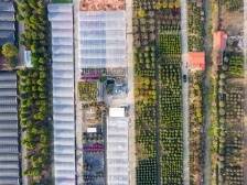 南方日报深调研引发热议：广东农险迎来黄金发展期