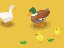 兴宁鸽再“展翼”！梅州兴宁乳鸽预制菜入选广东“百家手信”