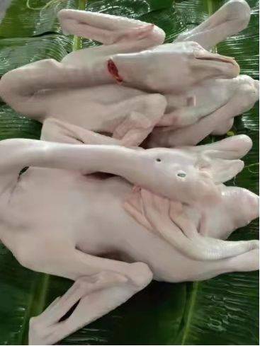 “狮头鹅鹅肉”皮香肉嫩，唇齿留香，回味悠长。