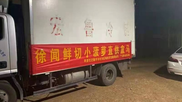 日均订货量近万斤！盒马上架徐闻鲜切小菠萝