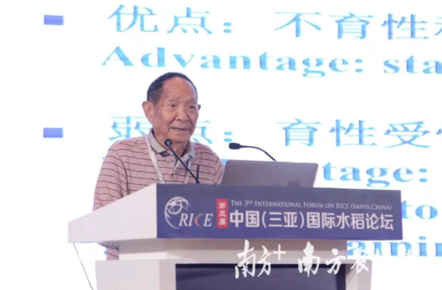 袁隆平出席中国（三亚）国际水稻论坛开幕式并作题为《杂交水稻发展战略》的报告。图源/南方农村报