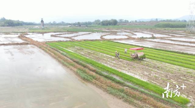 農(nóng)戶(hù)在田間地頭忙于春耕