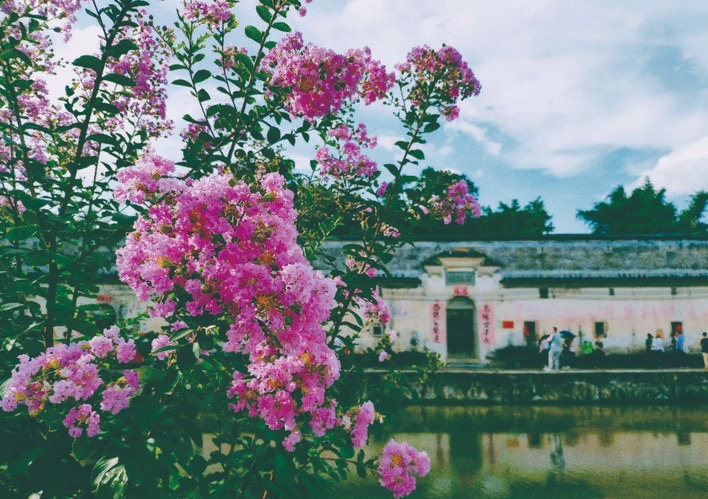 周田村的自然风光与人文景观相互映衬,风景独好。 周田村的自然风光与人文景观相互映衬,风景独好。