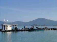 平安财险广东分公司：特色农险稳增收 科技赋能强产业