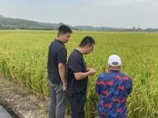 专家学者热议广东农险“一子落而满盘活”： “广东经验”值得全国借鉴推广