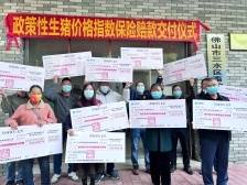 太平财险广东分公司：农险创新迸活力 织密“三农”安全网