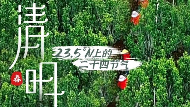 网络中国节•清明 | 23.5°N上的二十四节气