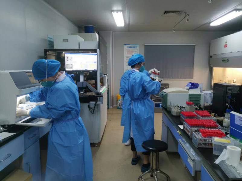 样本核酸提取工作。  