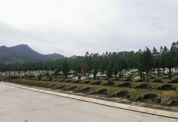 粤东地区一座关停的镇级公益性公墓面临诸多困难。