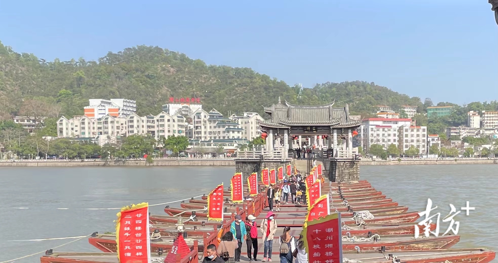 滨江长廊火红的木棉花落满一地.清明期间潮州天气晴好,赏花成为主流.
