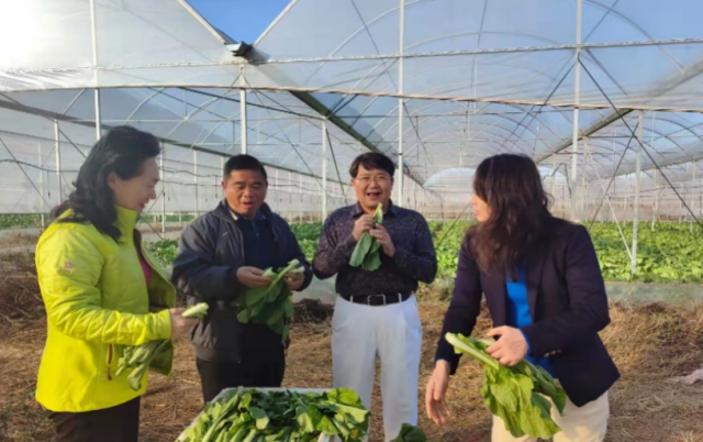 对广东省农业科学院蔬菜研究所引进的连州菜心做示范推广。