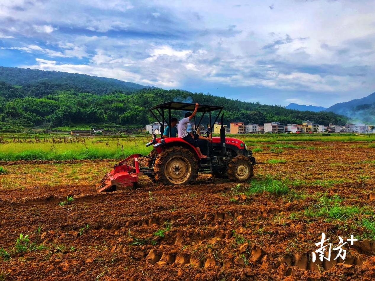 新丰县马头镇盘活撂荒地,播种希望田.