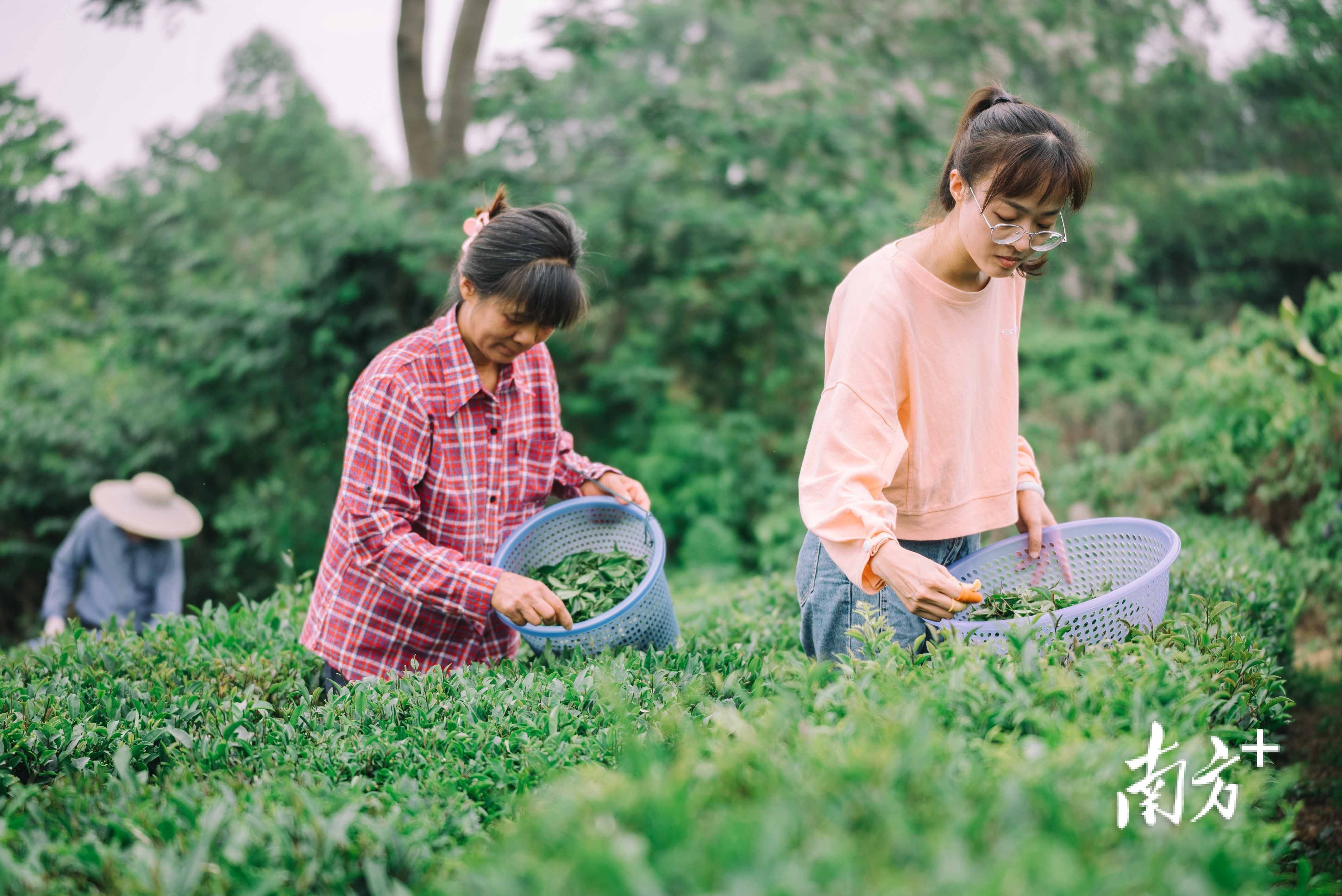    南方+ 王昌辉 拍摄