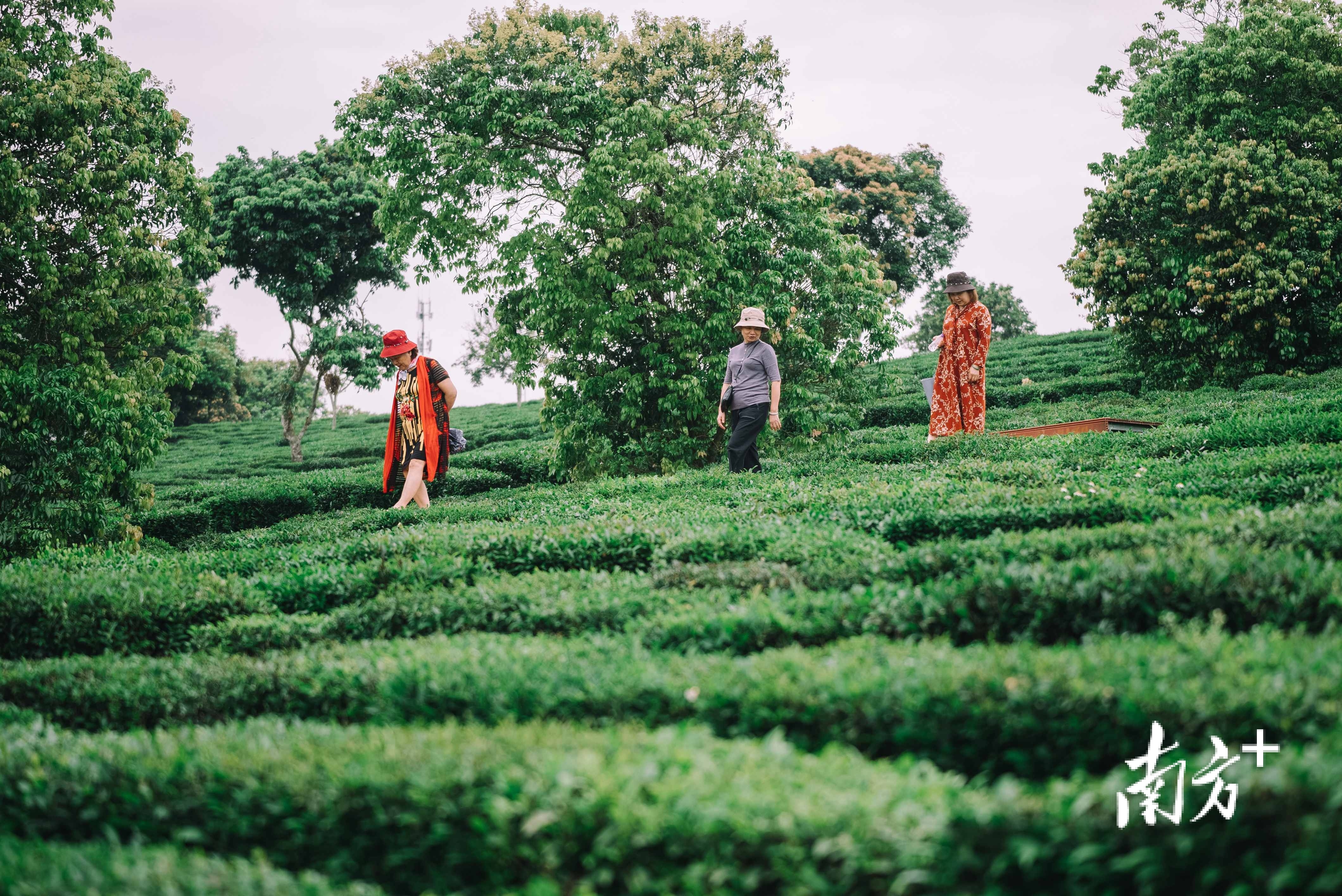    南方+ 王昌辉 拍摄