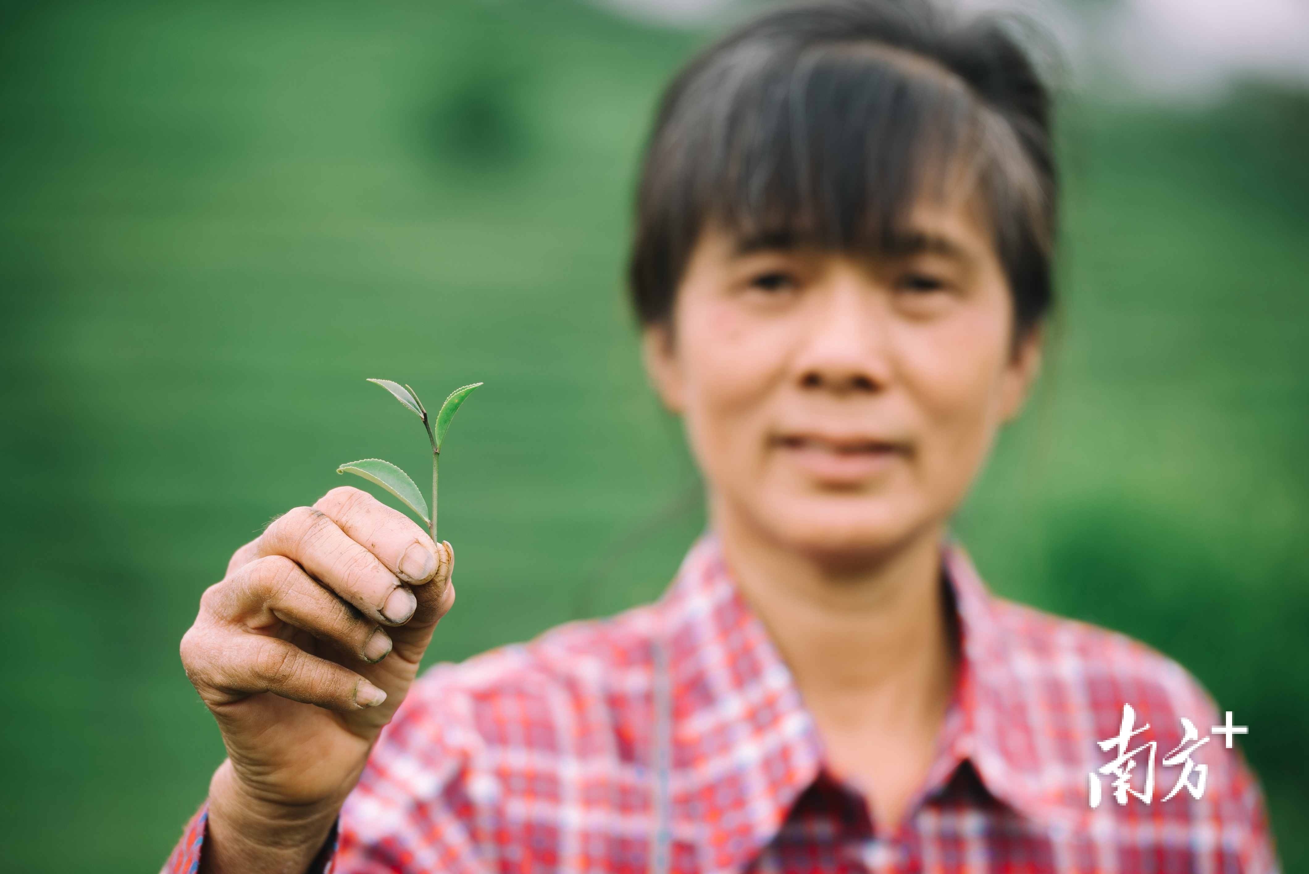    南方+ 王昌辉 拍摄