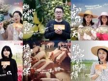 它们为乡村振兴保驾护航！南方+六期视频讲述广东农险生动案例