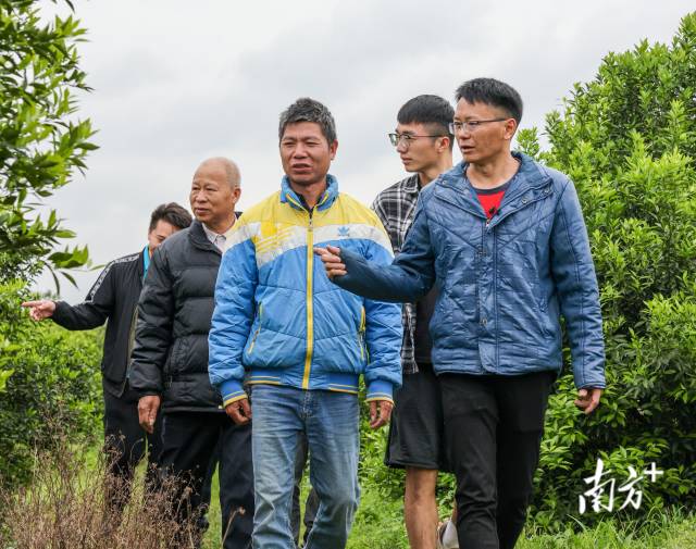 招永伦指导合作社社员育苗技术。 