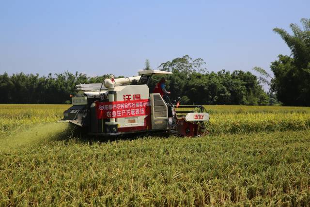 通讯员 暂无 供图