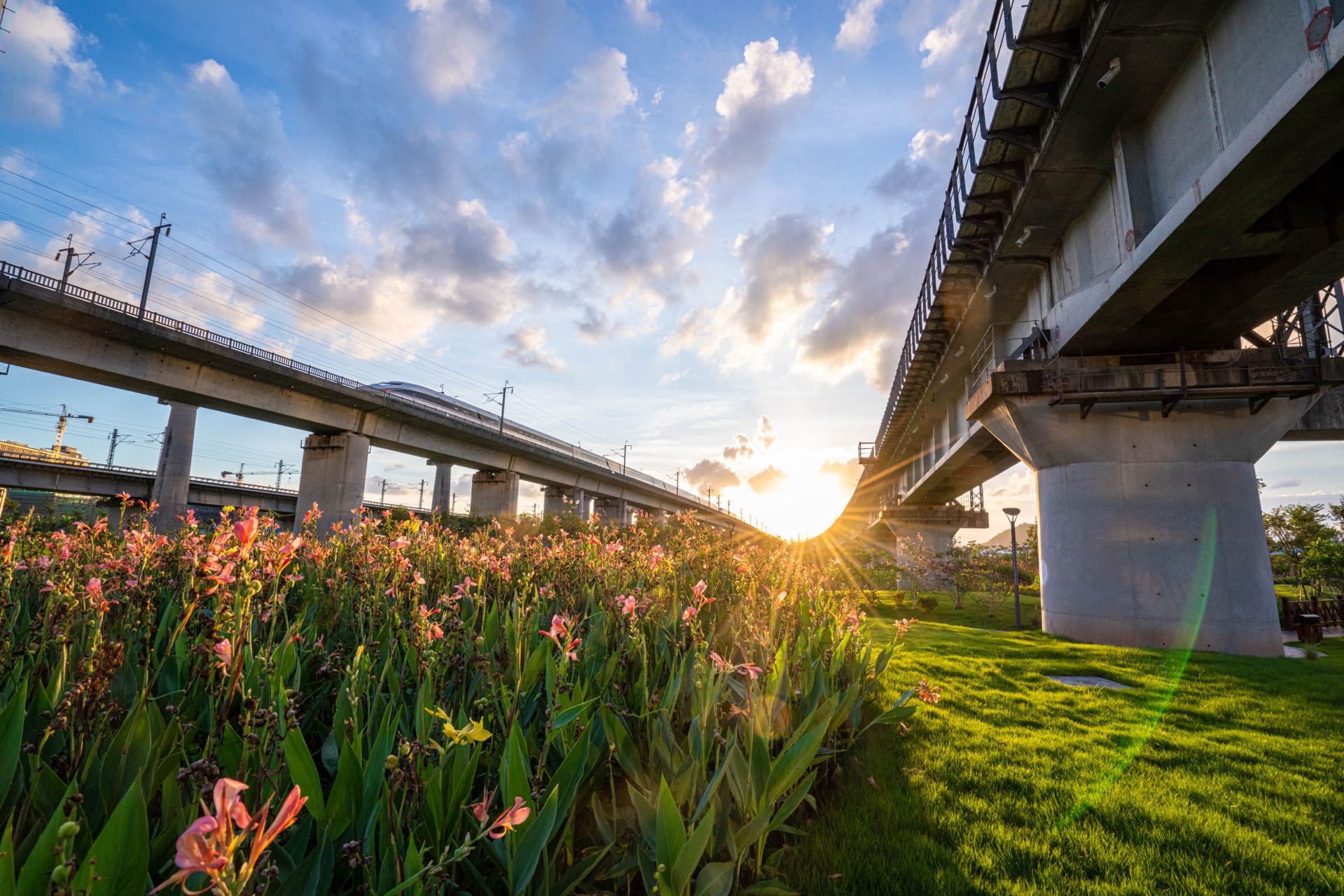 毗邻广州南站,高铁公园创新利用桥下空间,将过去荒废的场地化身为市民休闲玩乐好去处。三龙湾南海片区供图 毗邻广州南站,高铁公园创新利用桥下空间,将过去荒废的场地化身为市民休闲玩乐好去处。三龙湾南海片区供图