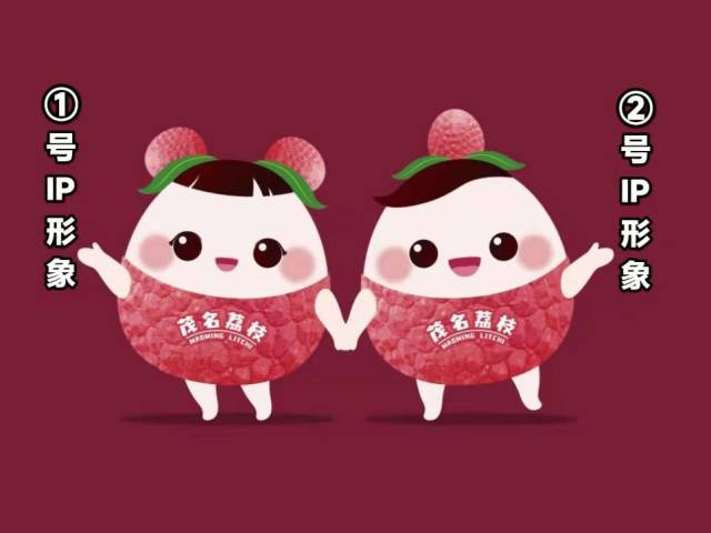只剩三天！灵动可爱的茂名“荔墩墩”在线求名