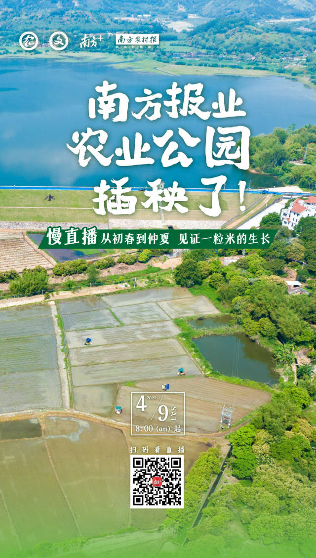 南方农村报 莫淑霞 制图