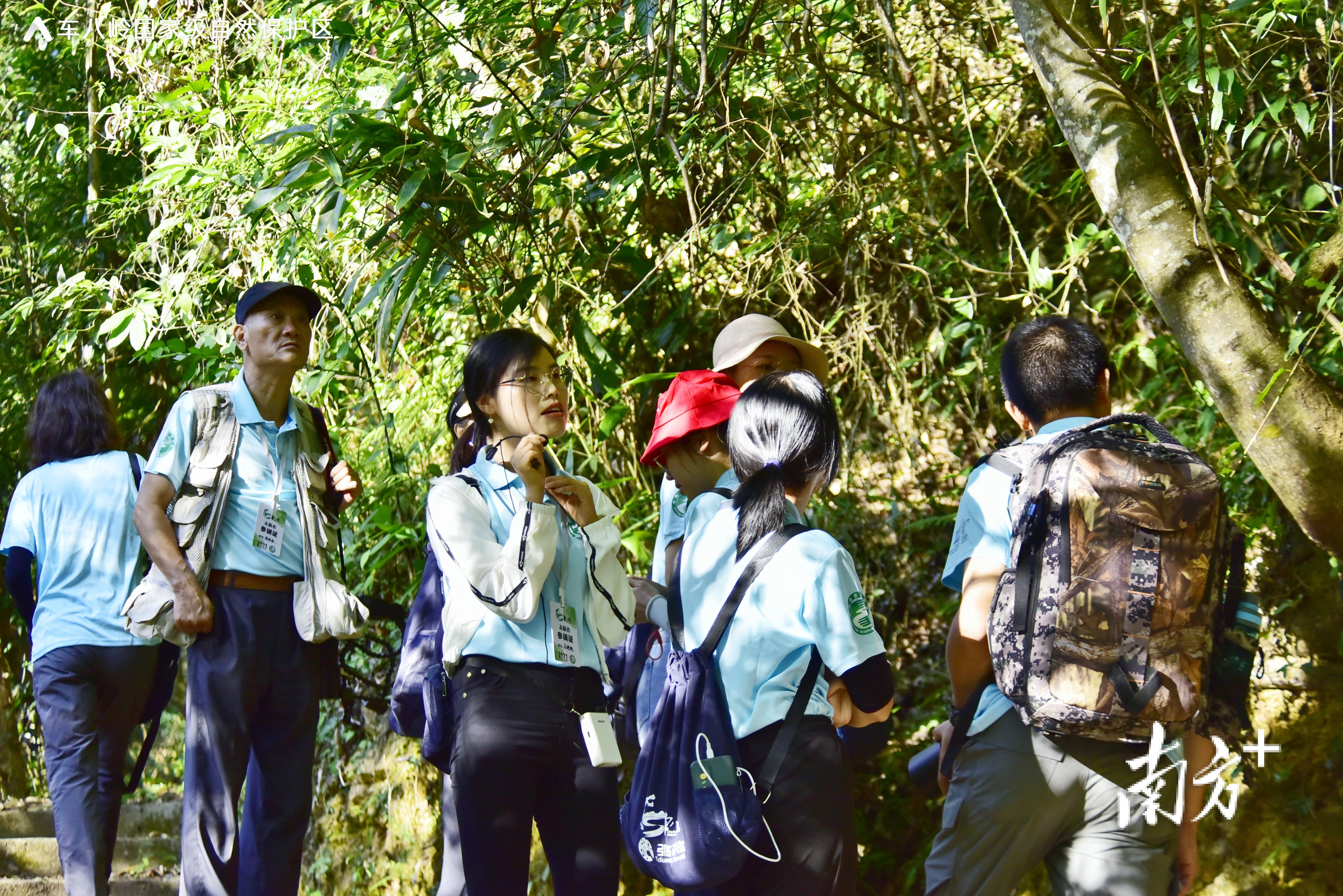 生态科普志愿者在车八岭保护区开展自然教育、科普宣传、社区服务及生物多样性保护类等科普培训。