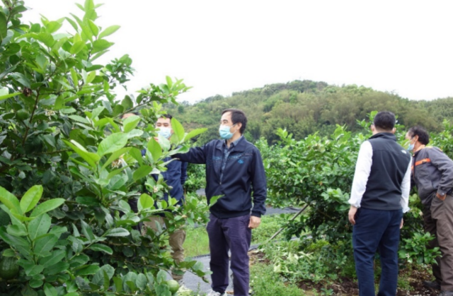 专家田间技术指导。