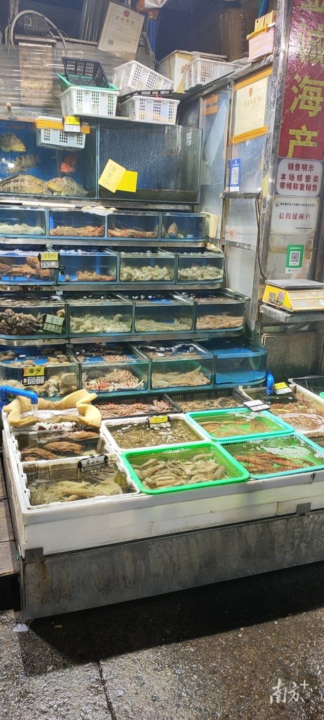 南方+ 昌道励 拍摄